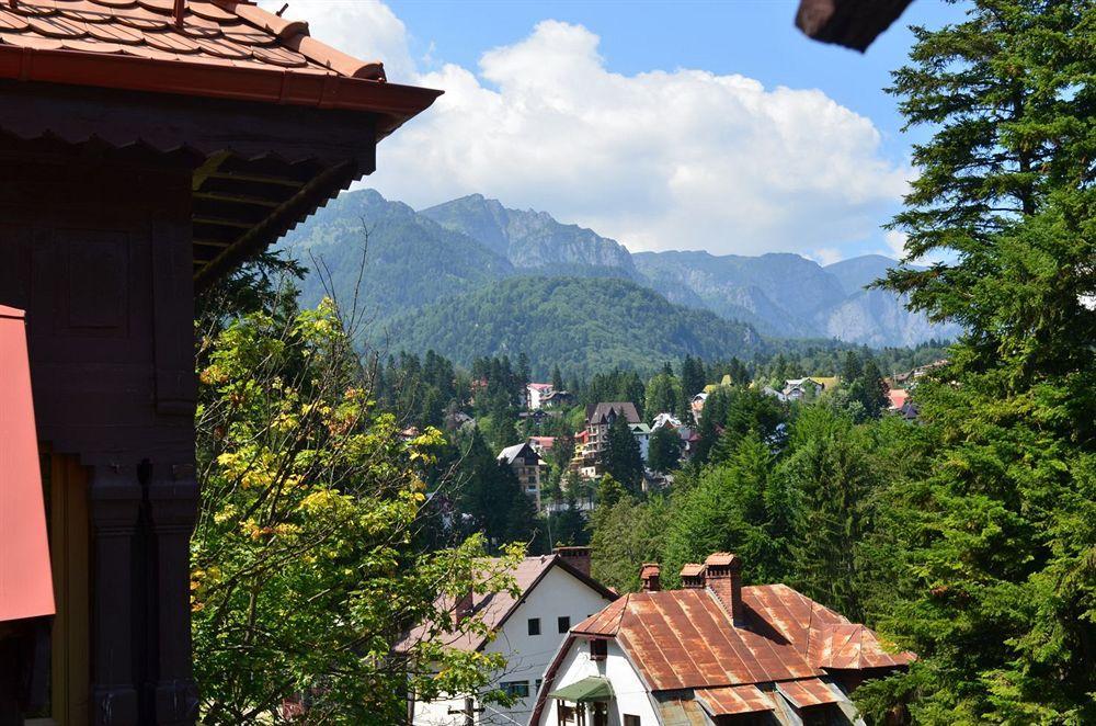 Vila Arizto Sinaia Eksteriør billede