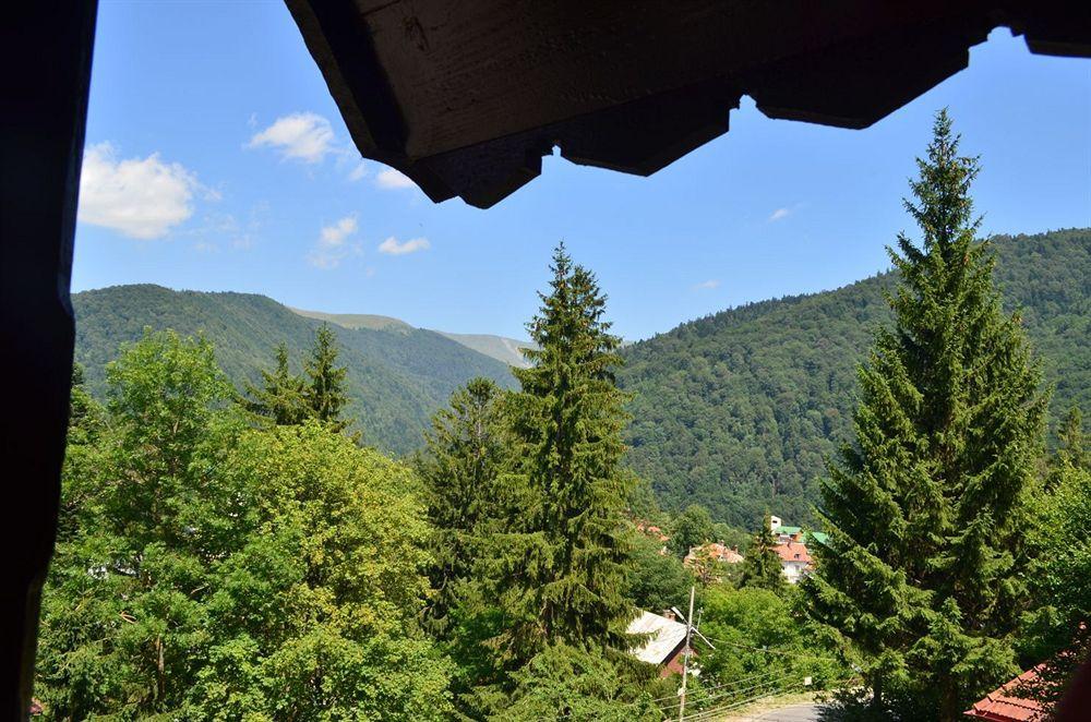 Vila Arizto Sinaia Eksteriør billede