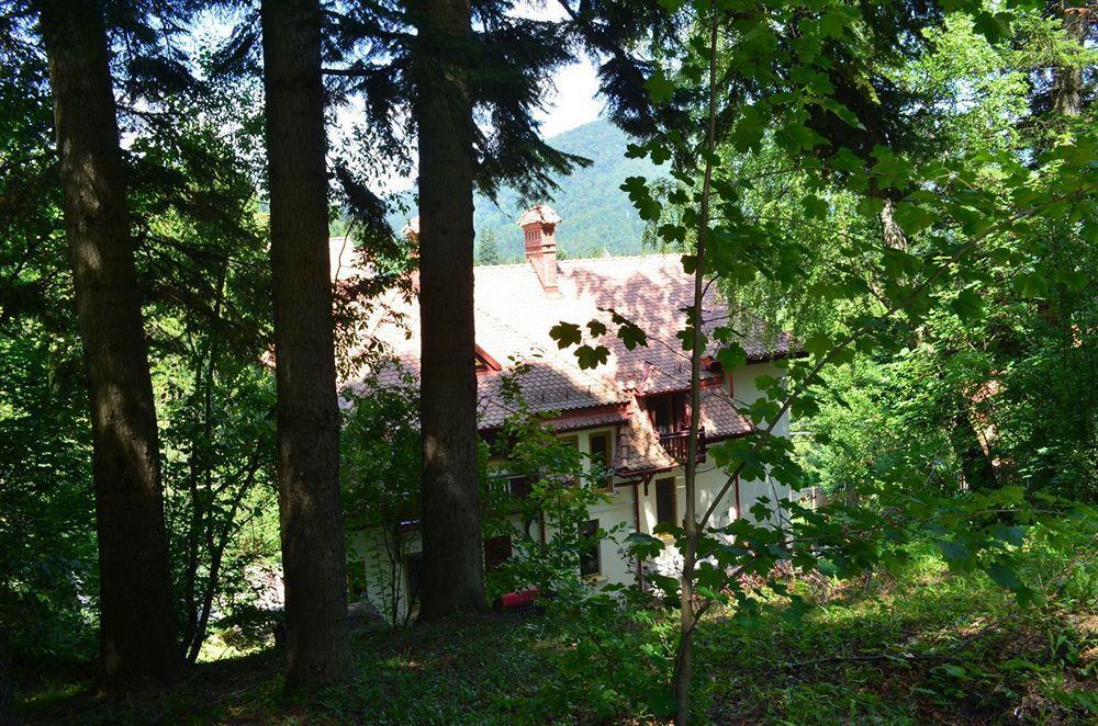 Vila Arizto Sinaia Eksteriør billede