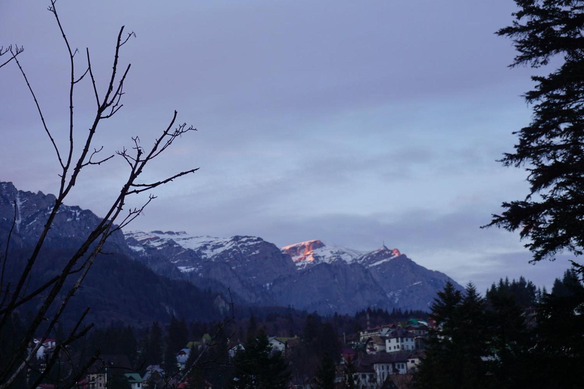 Vila Arizto Sinaia Værelse billede