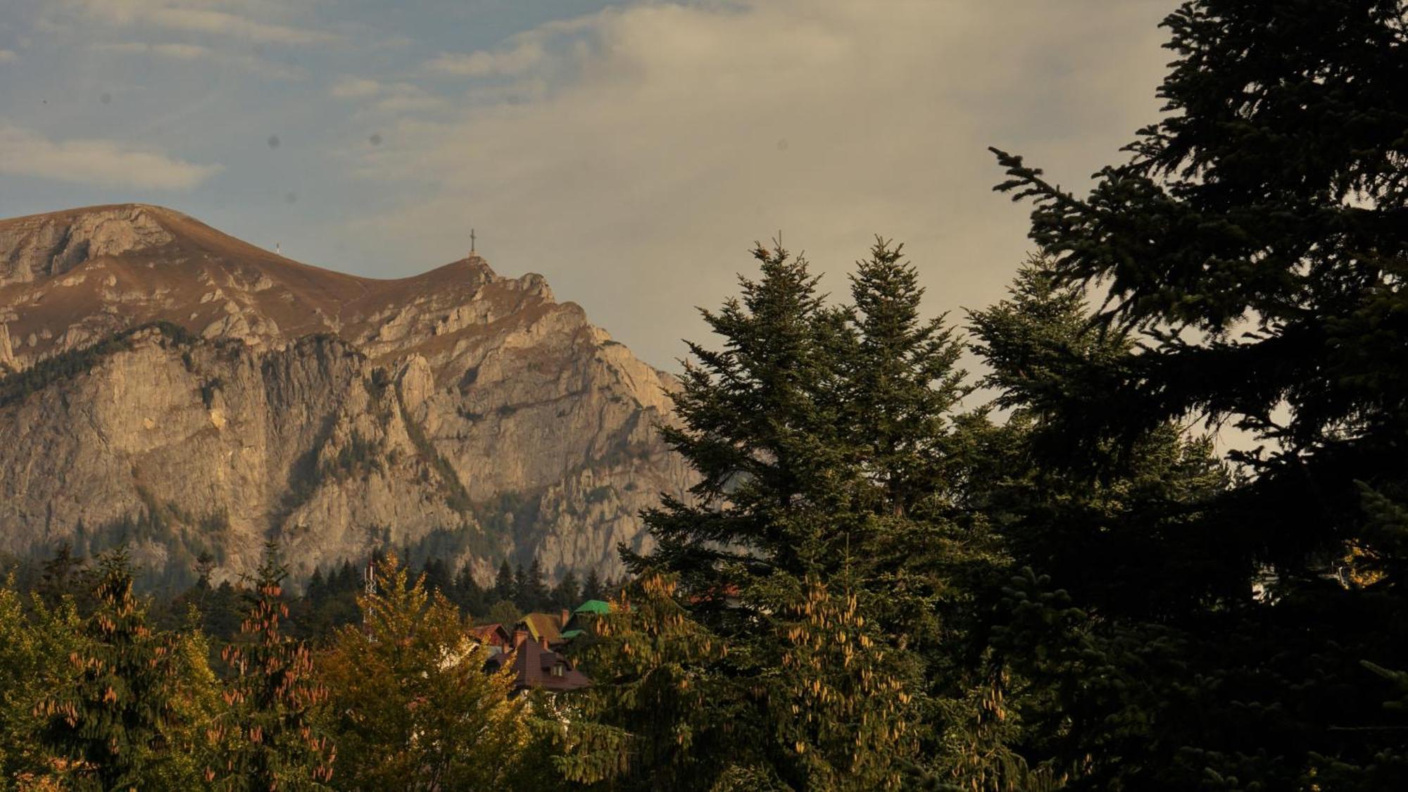 Vila Arizto Sinaia Værelse billede