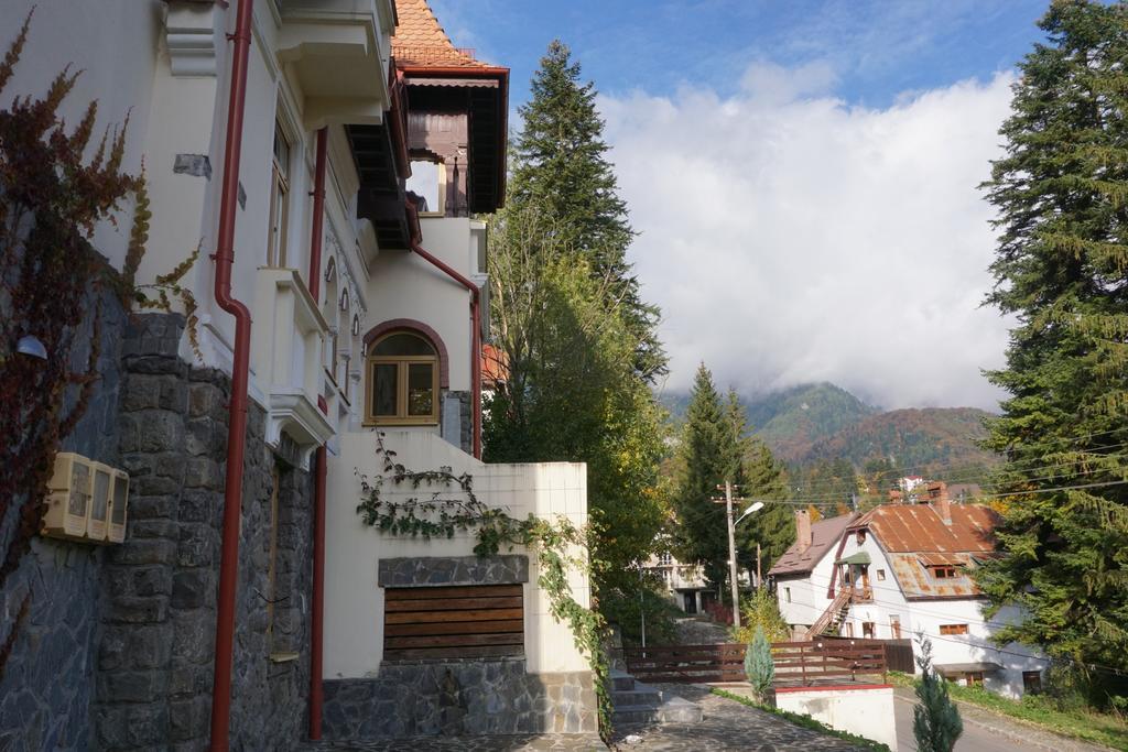 Vila Arizto Sinaia Eksteriør billede