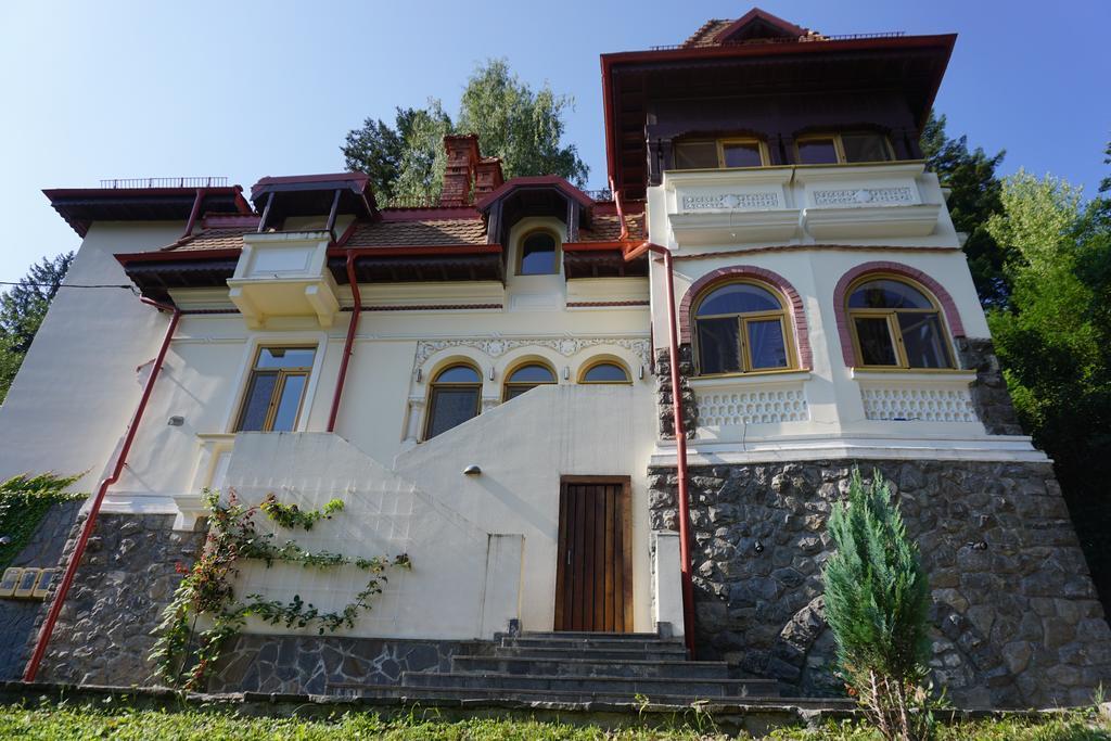 Vila Arizto Sinaia Eksteriør billede