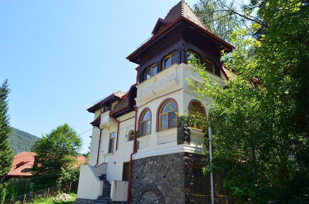 Vila Arizto Sinaia Eksteriør billede