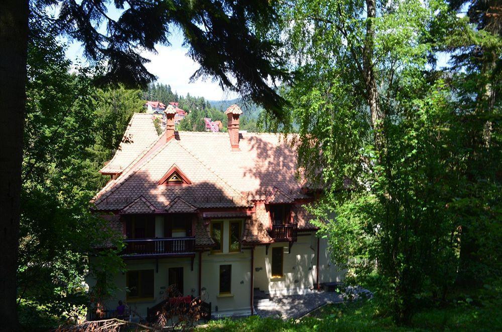 Vila Arizto Sinaia Eksteriør billede