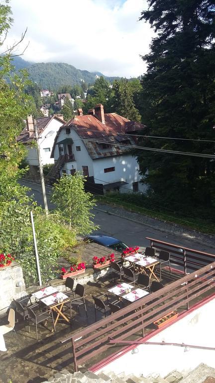Vila Arizto Sinaia Eksteriør billede