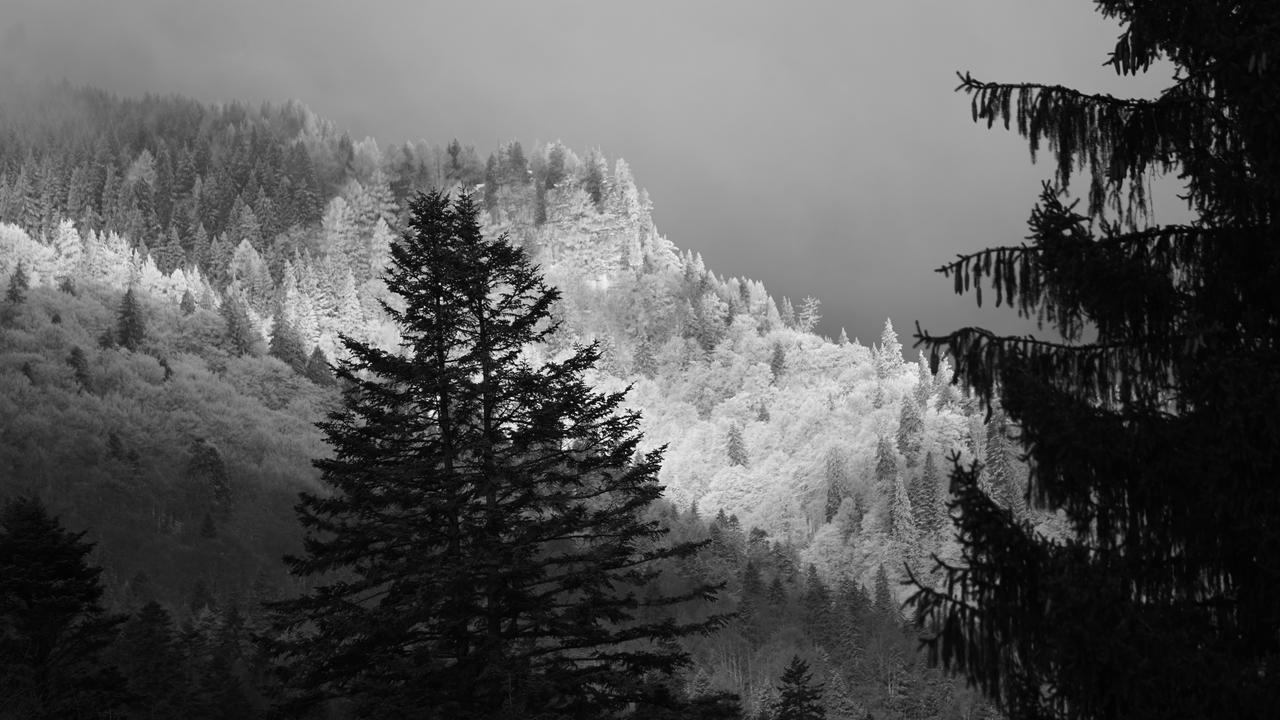 Vila Arizto Sinaia Eksteriør billede