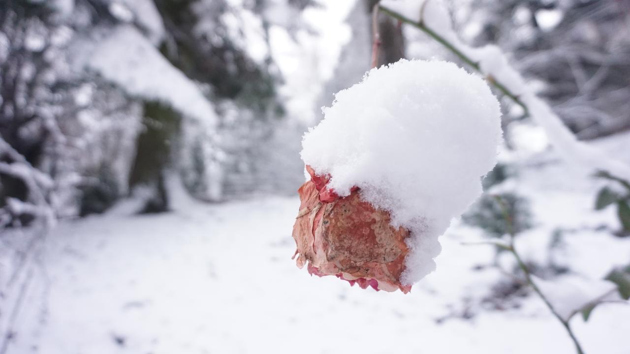 Vila Arizto Sinaia Eksteriør billede